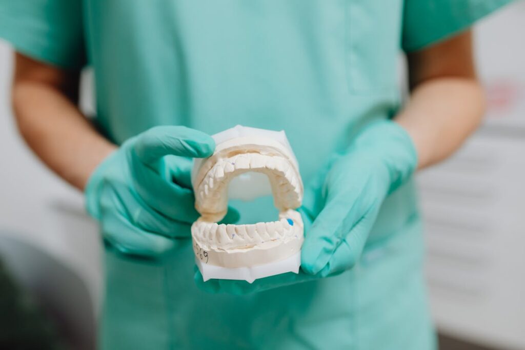 Dentist holding dental model in gloved hands, ideal for healthcare and dentistry themes.